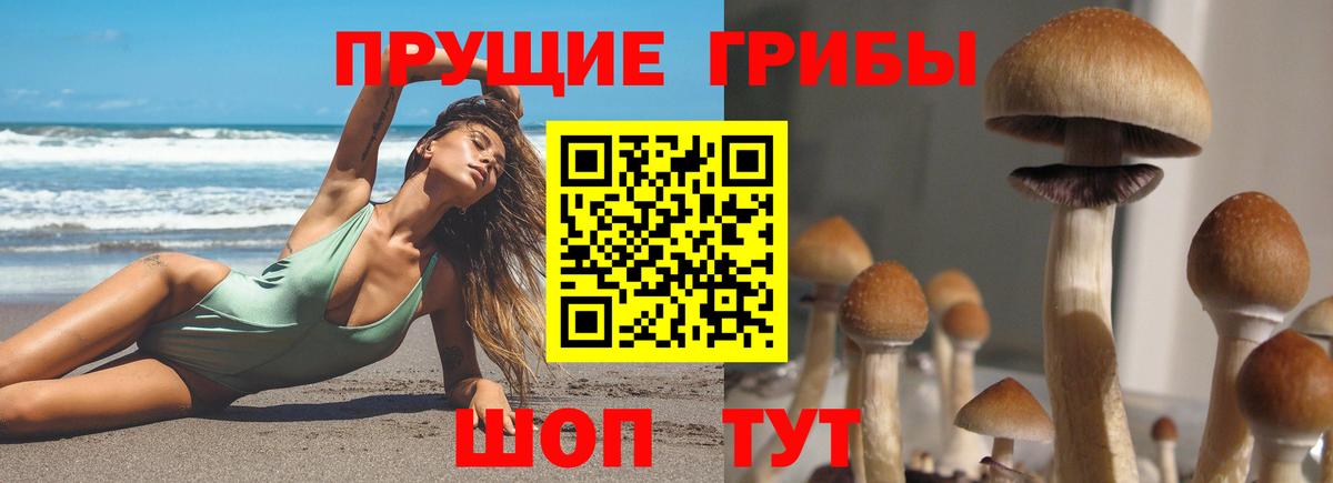 Ейск  Псилоцибиновые грибы Magic Shrooms  Псилоцибиновые грибы ЛСД  Вход с VPN 
