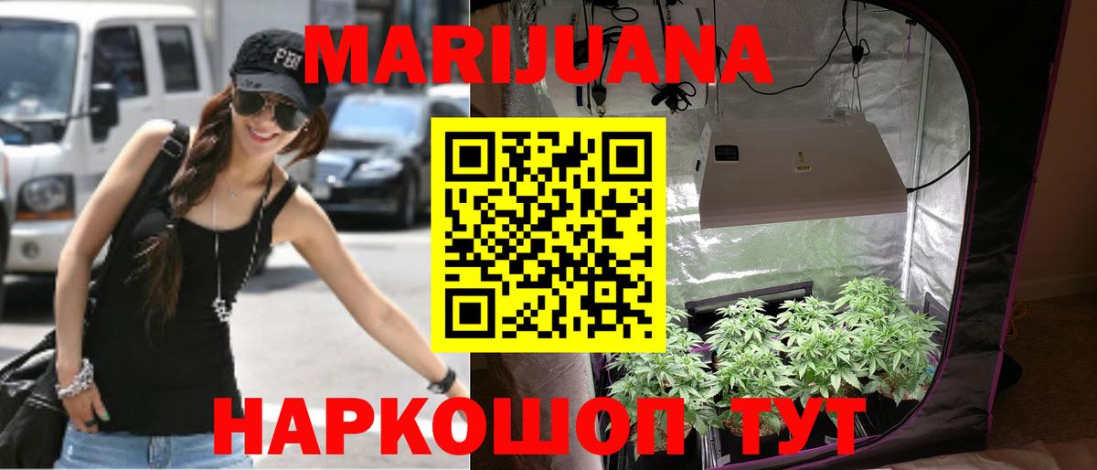 Бошки Шишки сатива Ейск